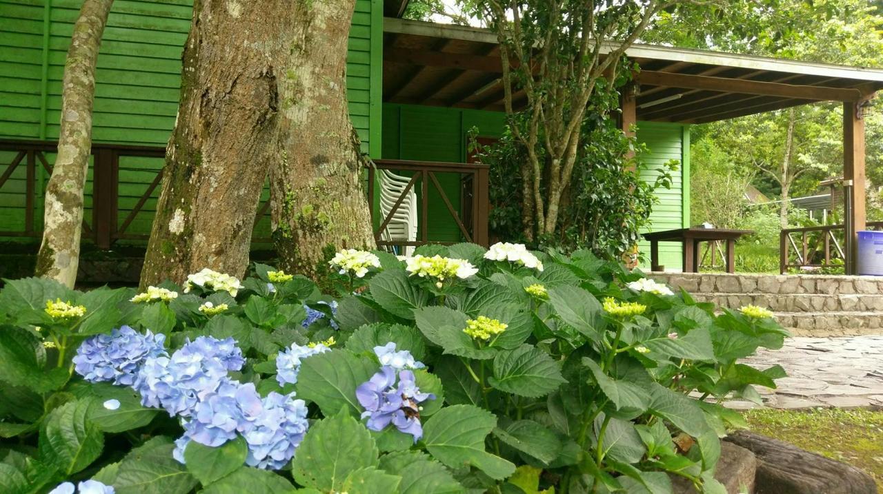 Hemerocallis Country House 난좡 외부 사진